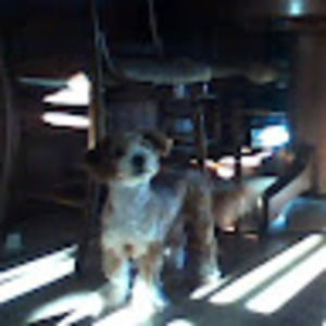 Meet your Posher, Sherri